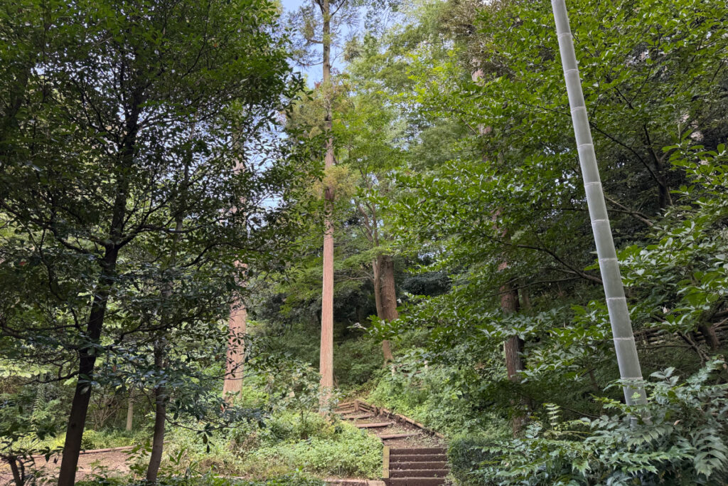 瀬田四丁目旧小坂緑地（旧小坂家住宅）