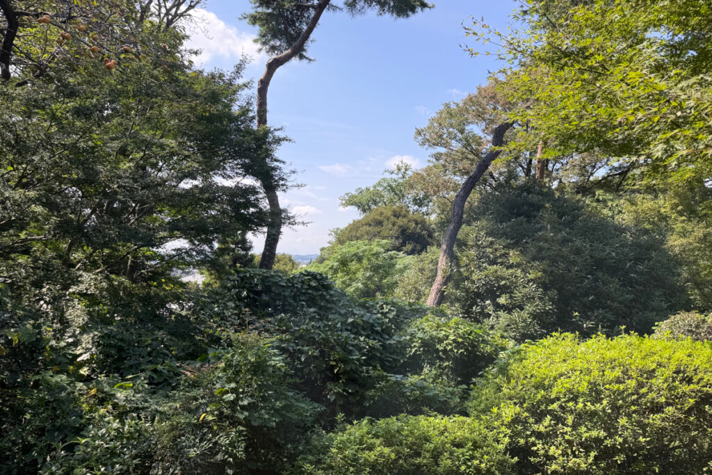 瀬田四丁目旧小坂緑地（旧小坂家住宅）