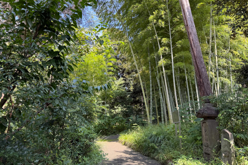 瀬田四丁目旧小坂緑地（旧小坂家住宅）