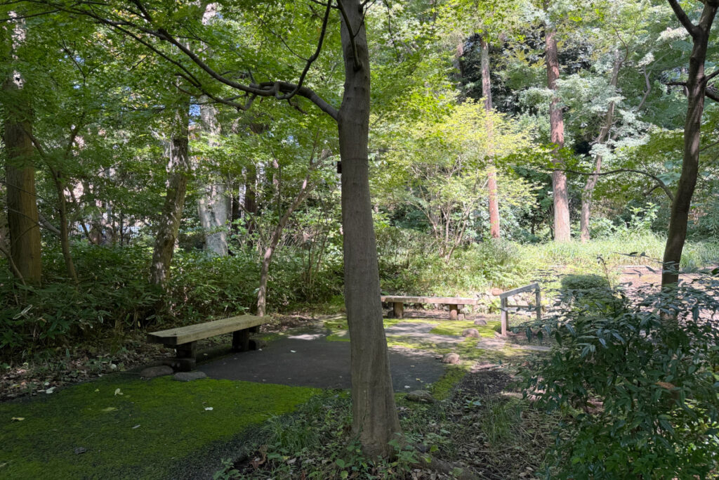 瀬田四丁目旧小坂緑地（旧小坂家住宅）