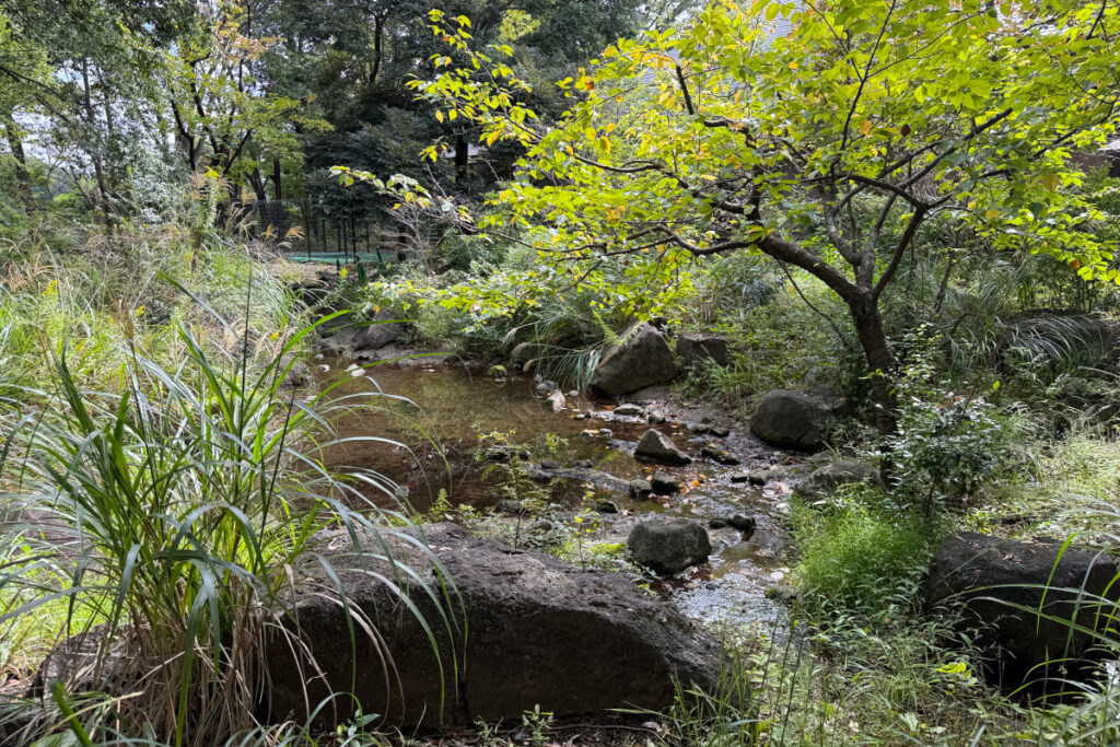 くつろぎの広場・旧富澤家住宅