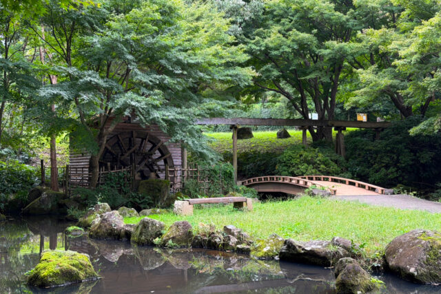 中沢池公園