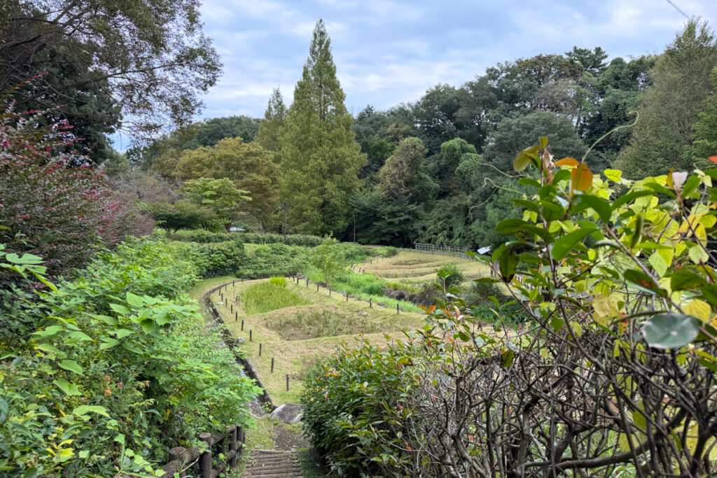 中沢池公園