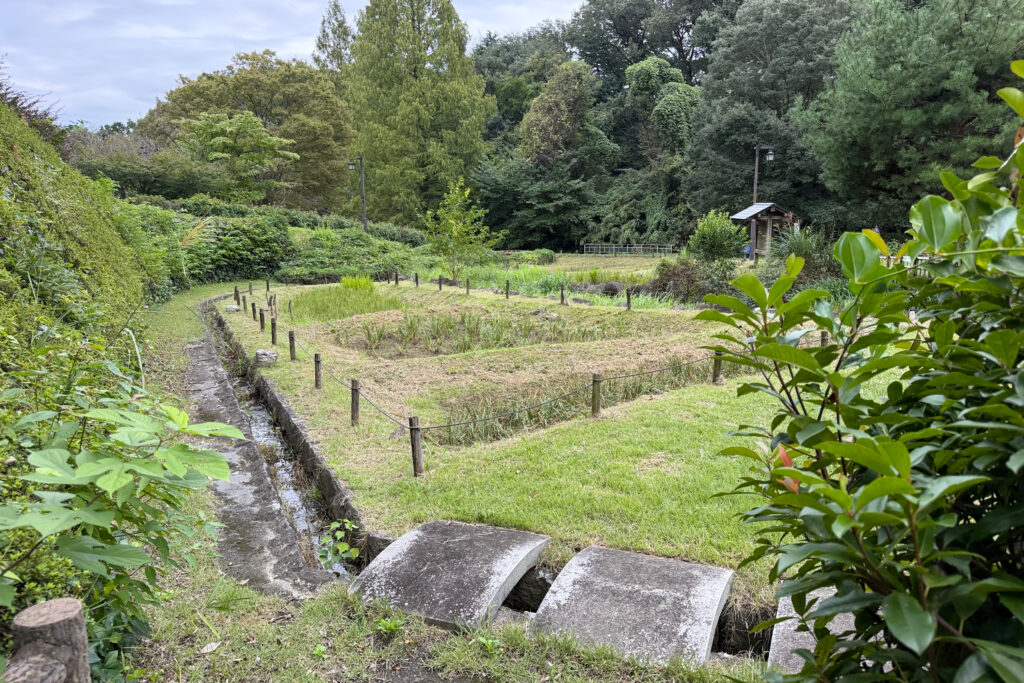 中沢池公園