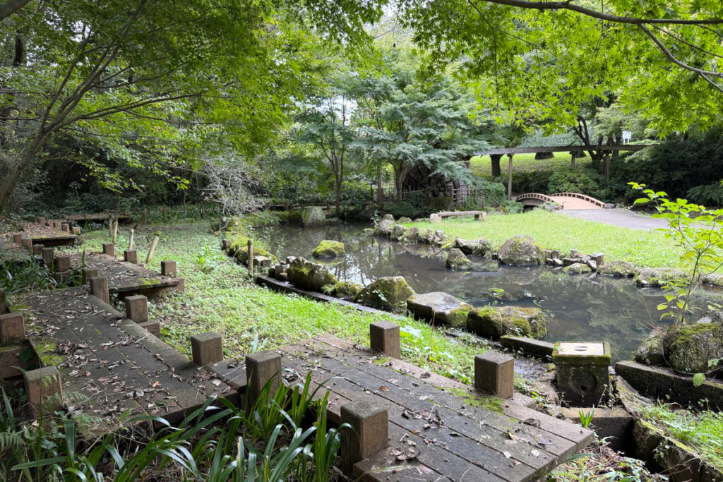 中沢池公園