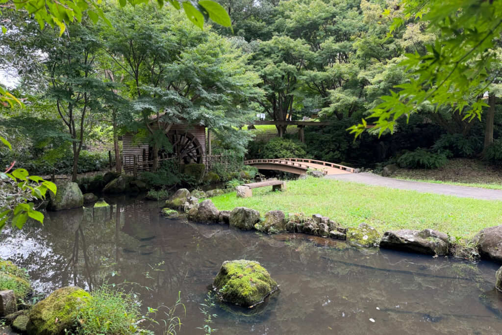 中沢池公園