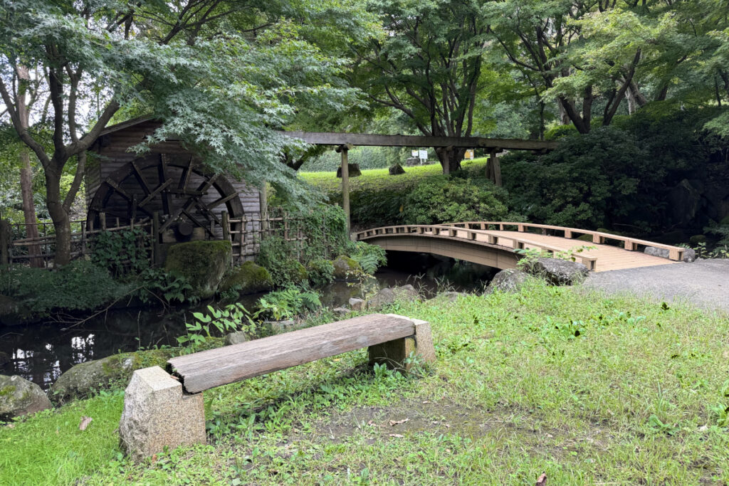 中沢池公園