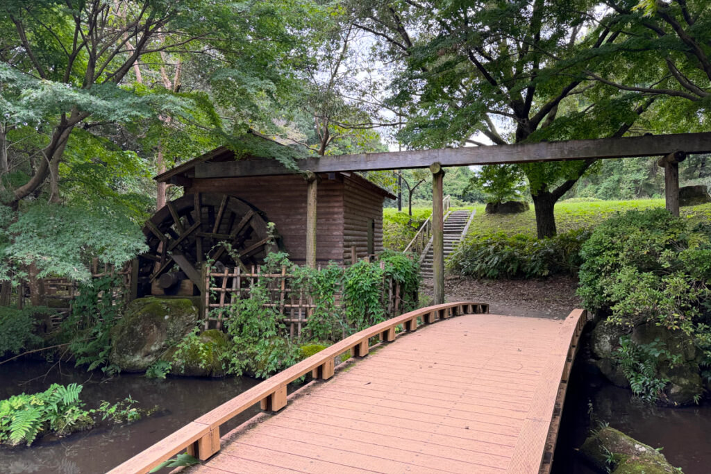中沢池公園