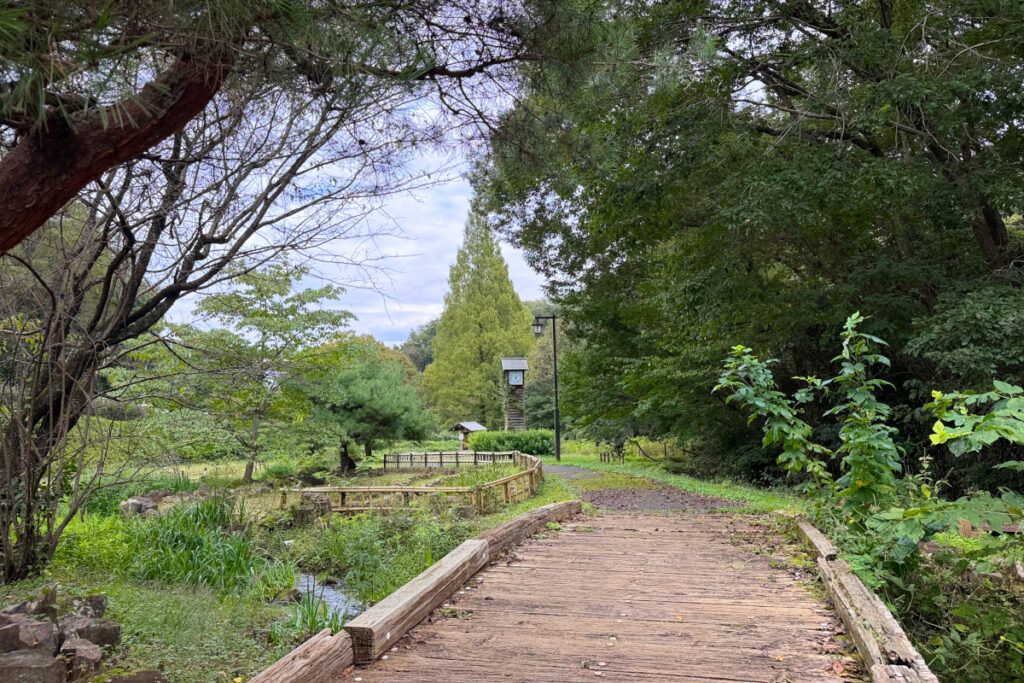 中沢池公園