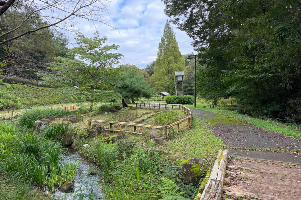 中沢池公園