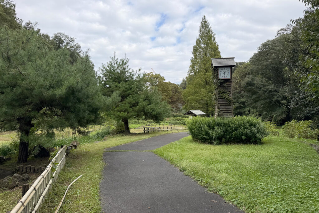 中沢池公園
