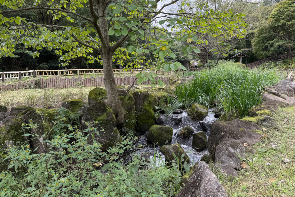 中沢池公園