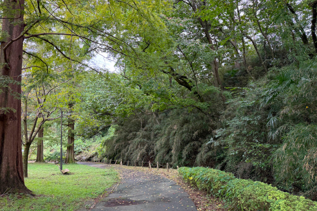 中沢池公園
