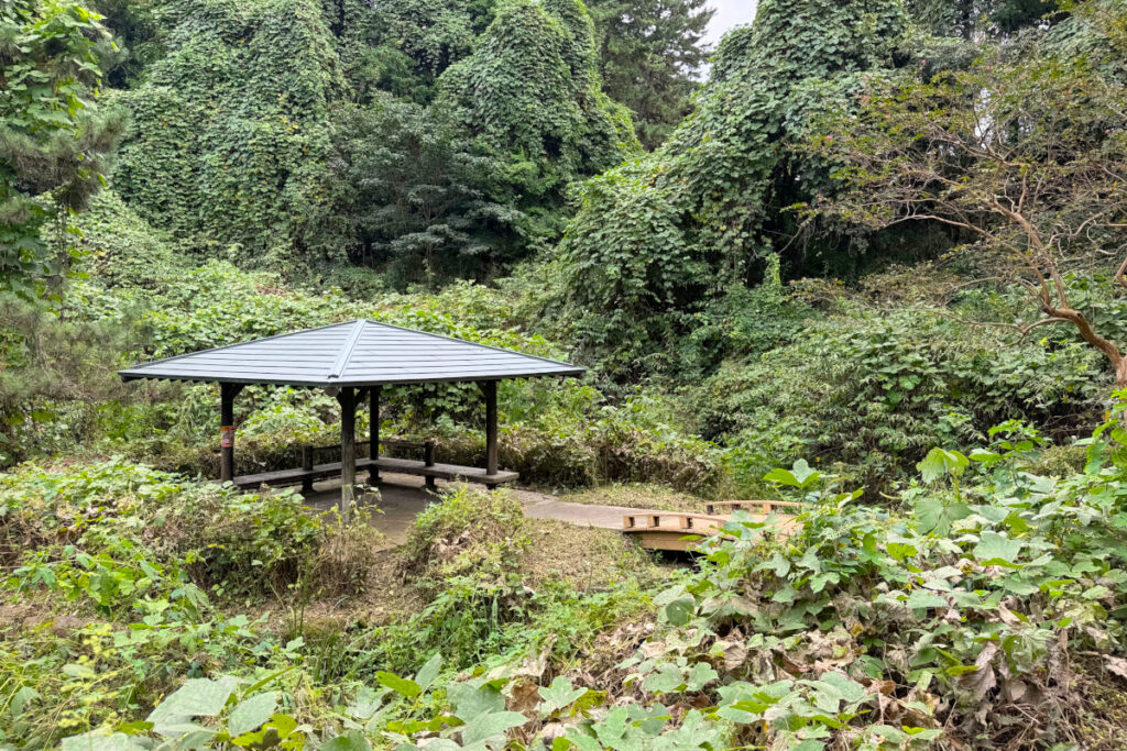中沢池公園