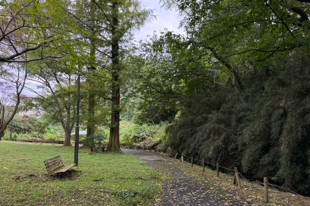 中沢池公園