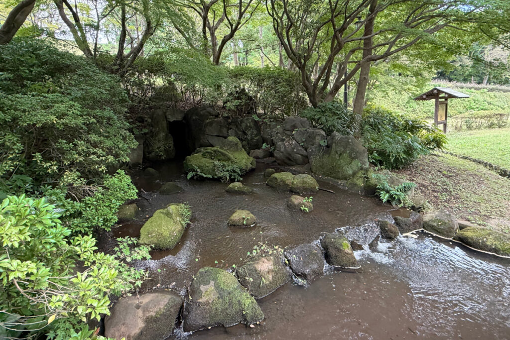 中沢池公園