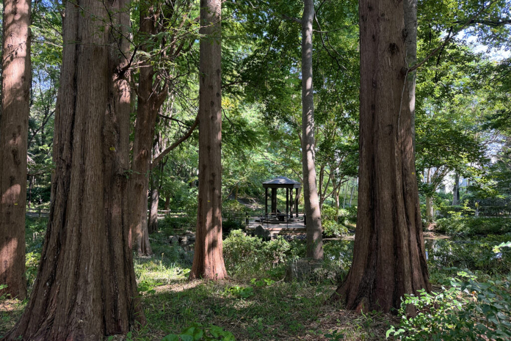 林試の森公園