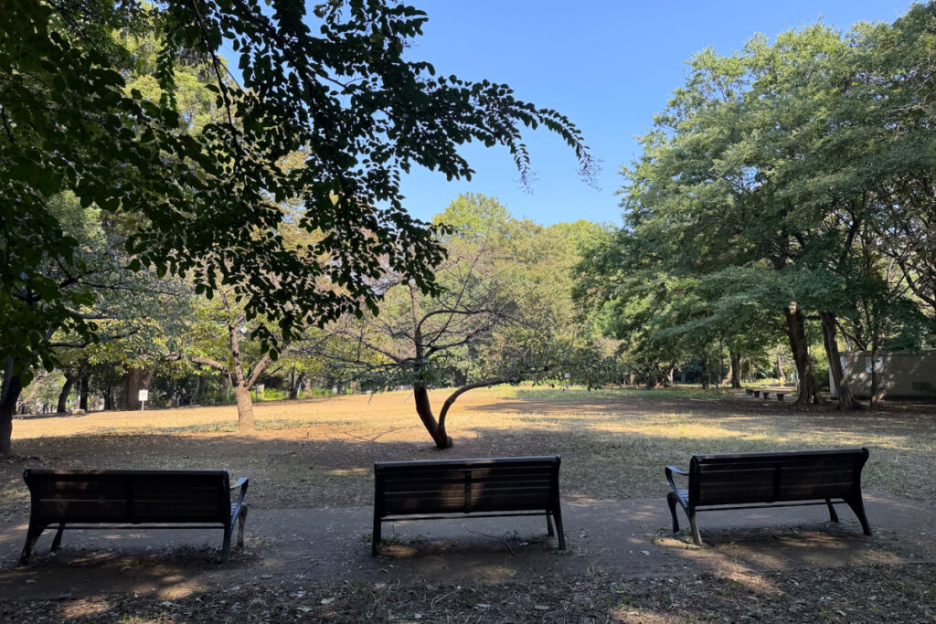林試の森公園