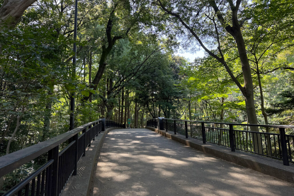 林試の森公園