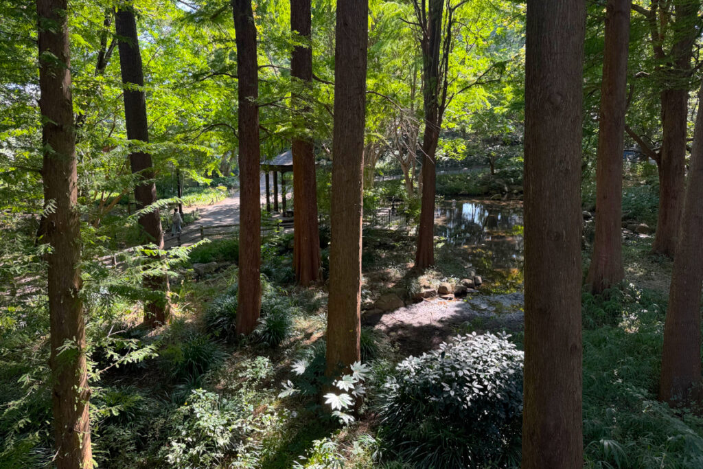 林試の森公園