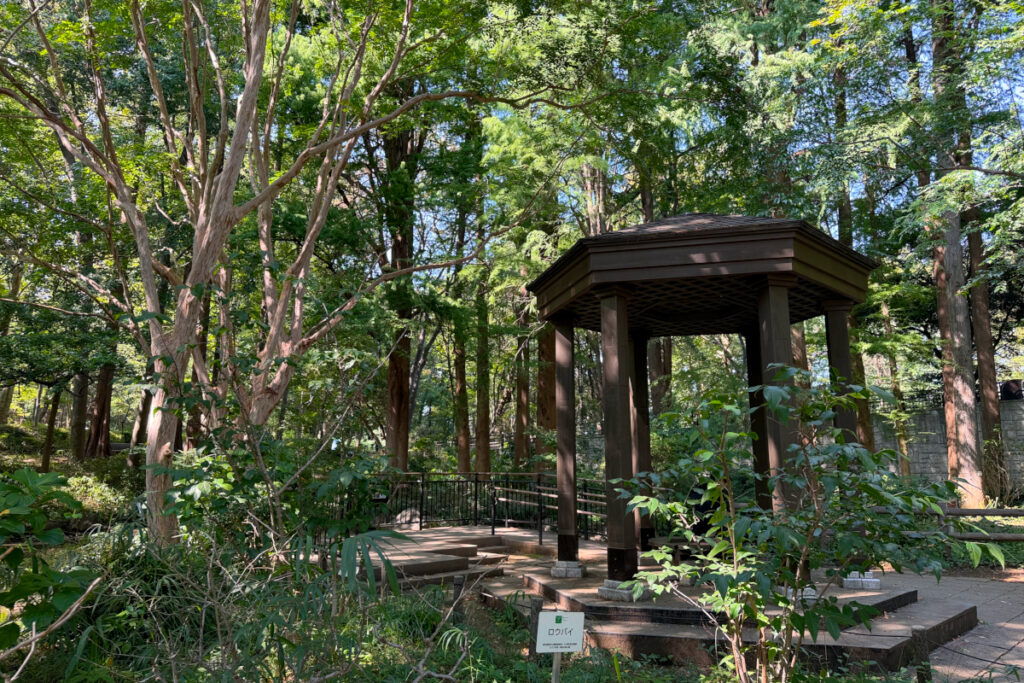 林試の森公園