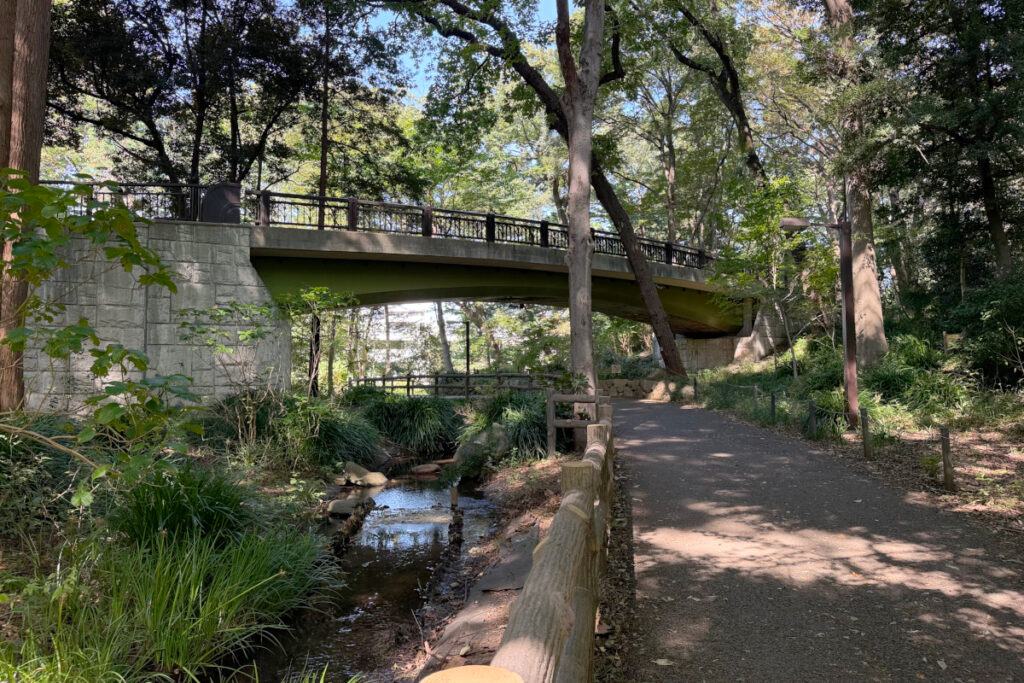 林試の森公園