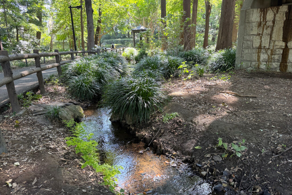 林試の森公園