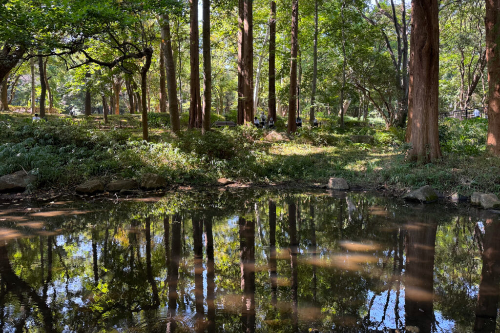 林試の森公園