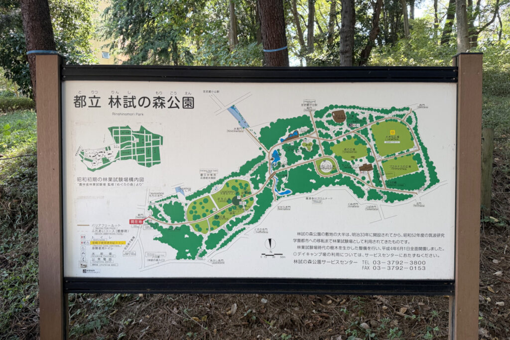 林試の森公園
