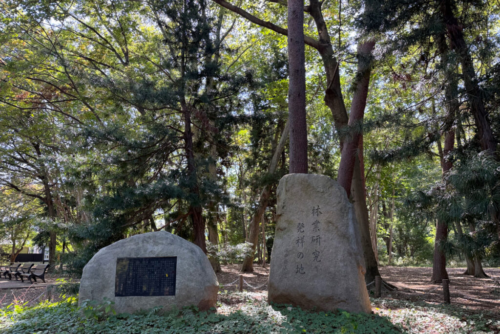 林試の森公園