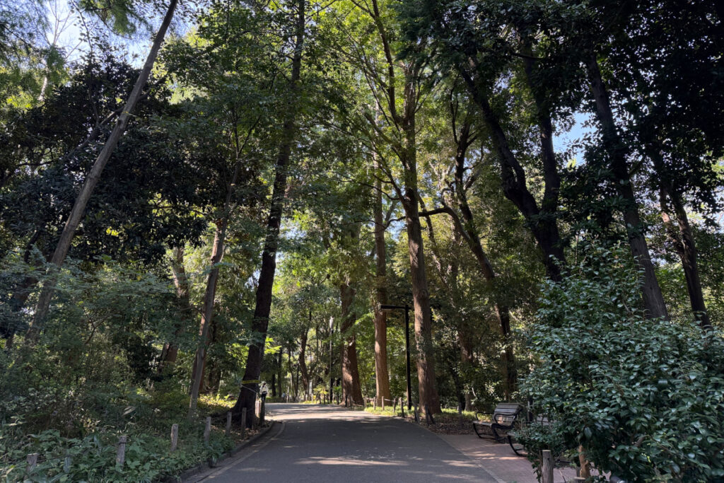 林試の森公園