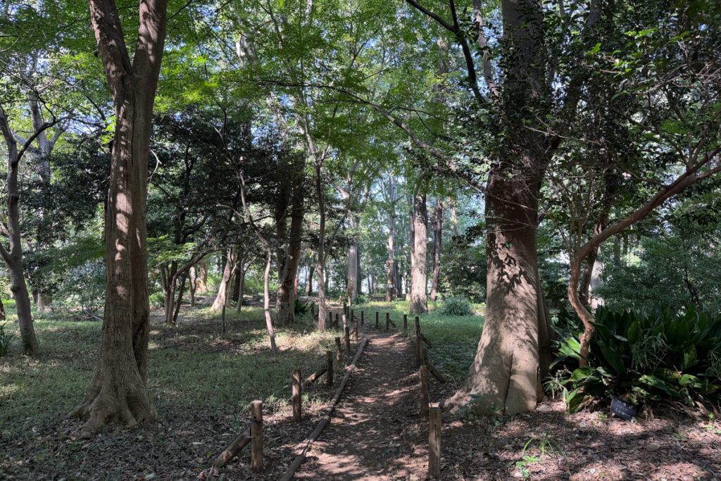 林試の森公園