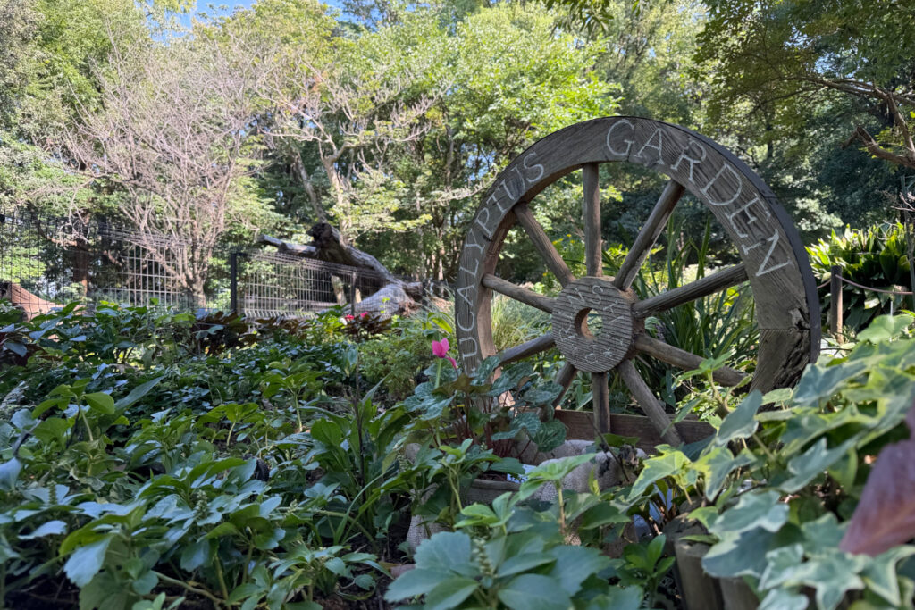 林試の森公園