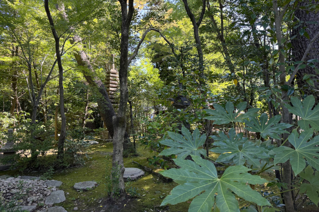 実相院