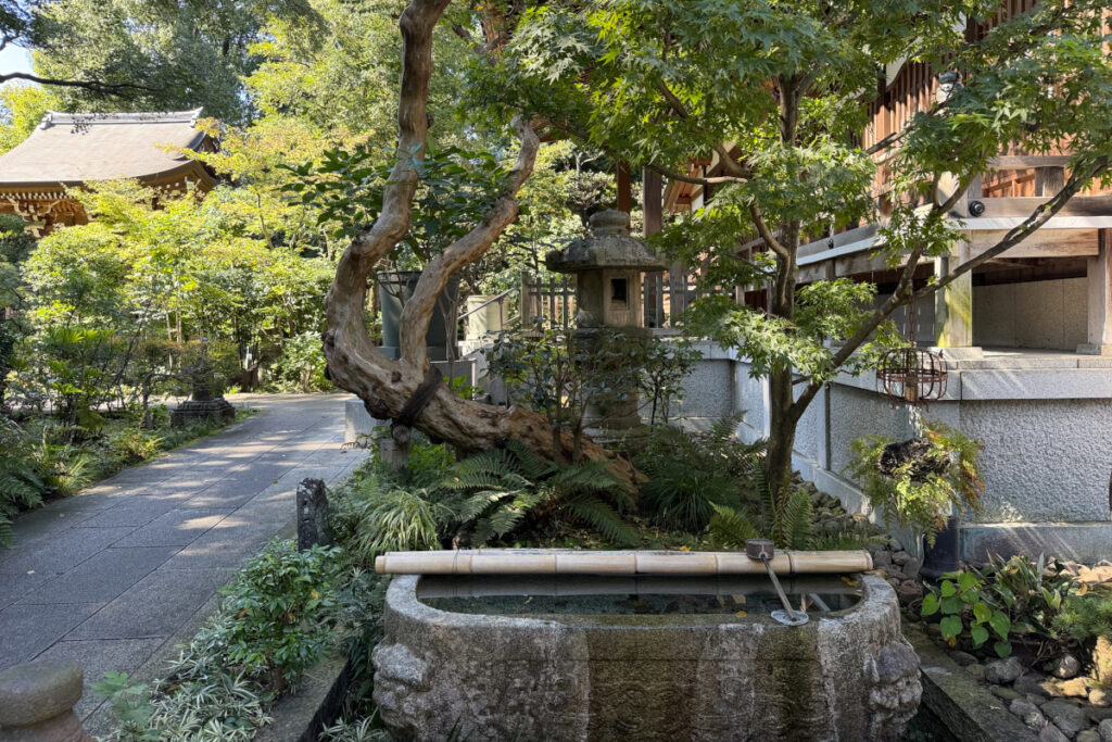 実相院
