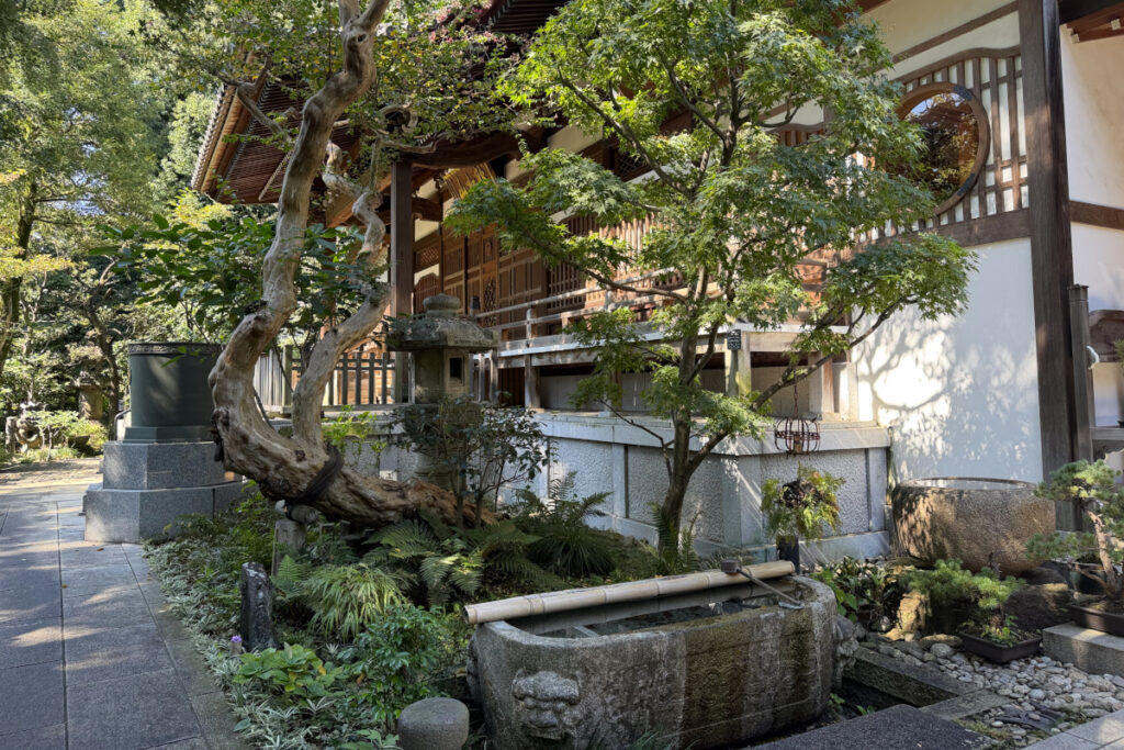 実相院