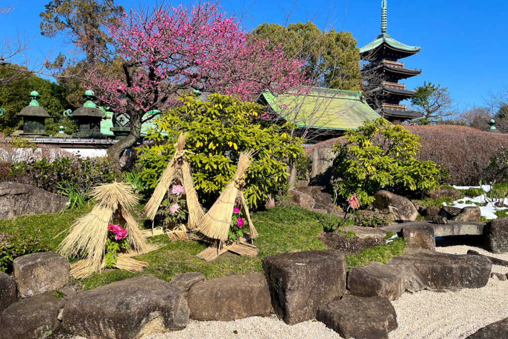 上野東照宮ぼたん苑
