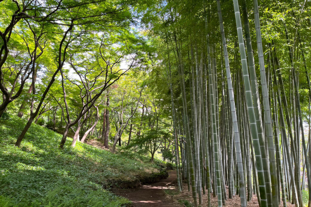 殿ヶ谷戸庭園