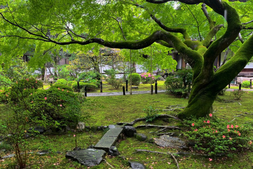 青蓮院門跡