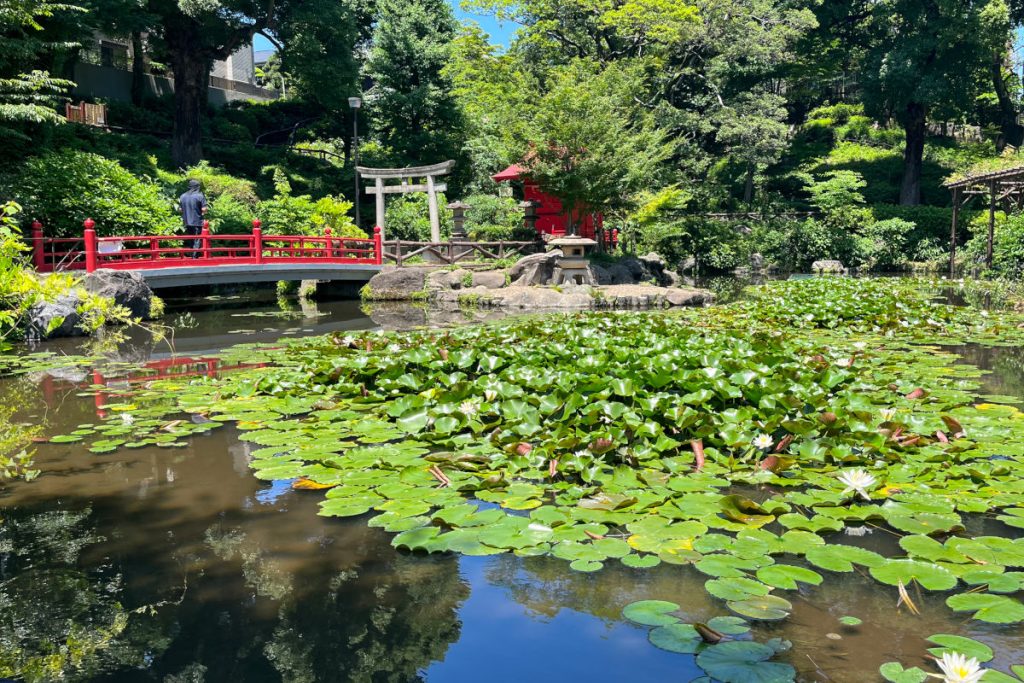 須藤公園