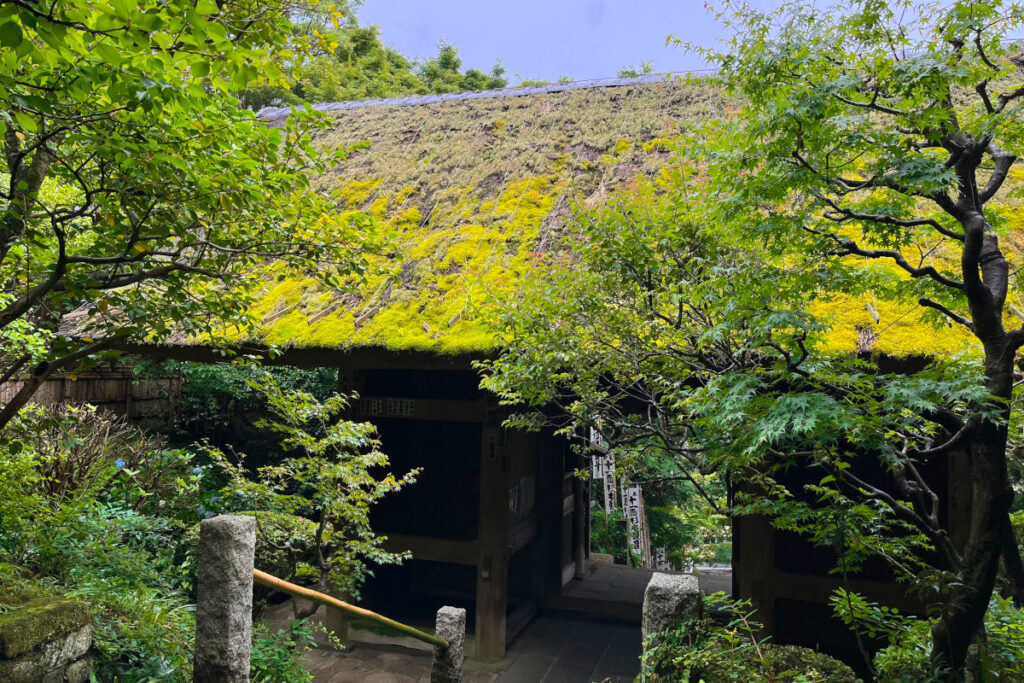 杉本寺