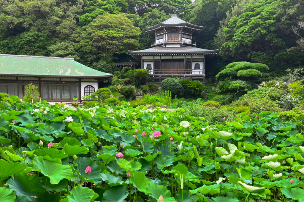 光明寺