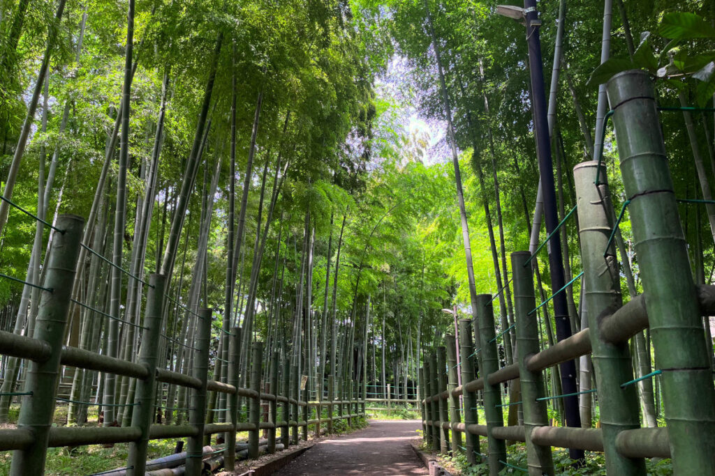 すずめのお宿緑地公園