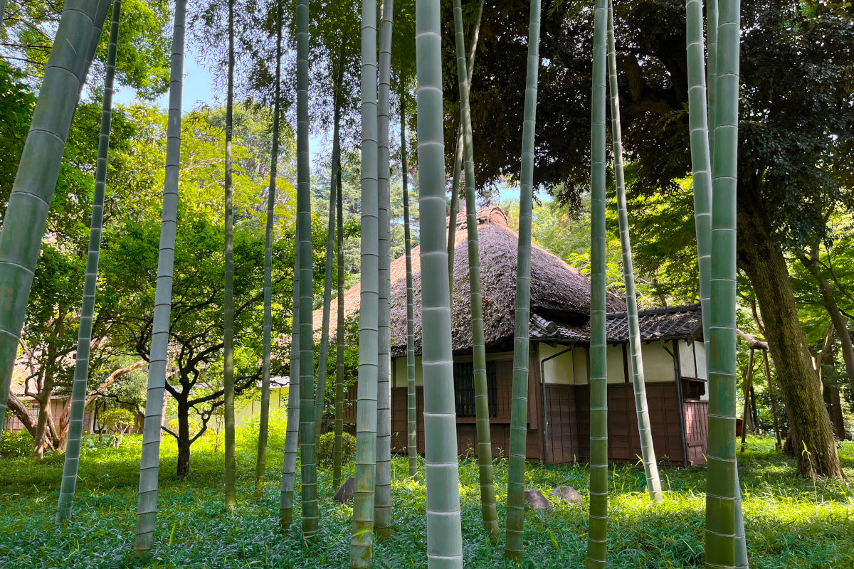 蘆花恒春園