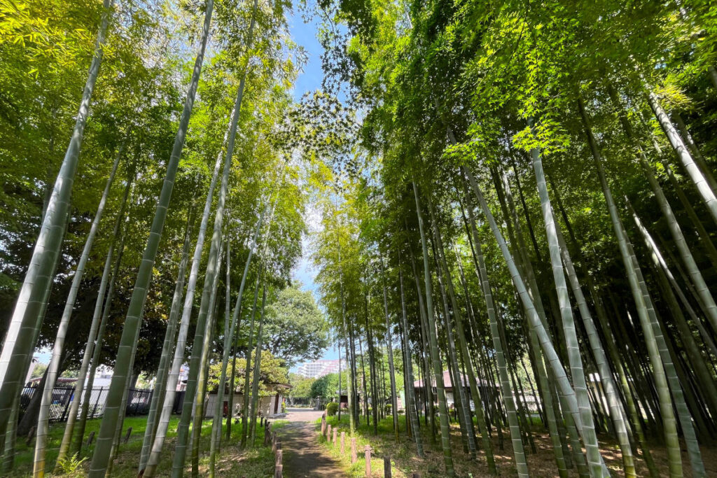 蘆花恒春園