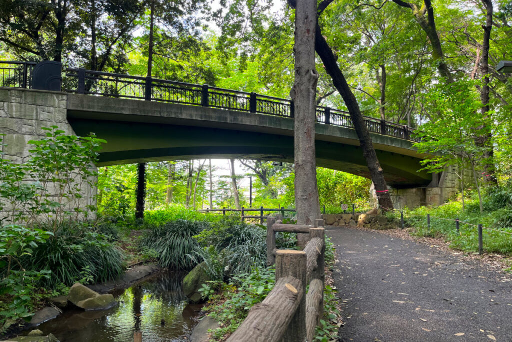 林試の森公園