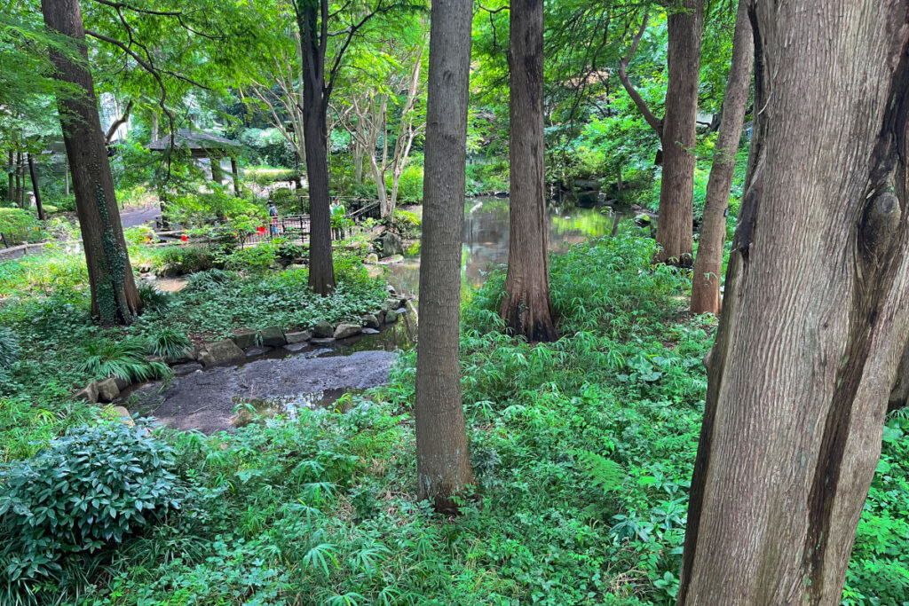 林試の森公園