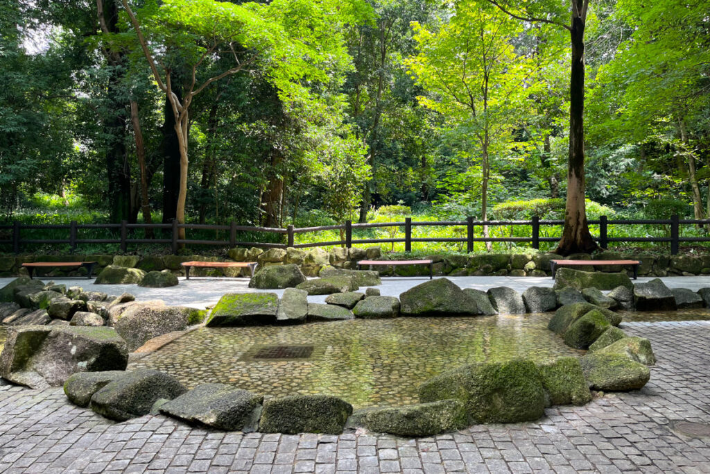 林試の森公園