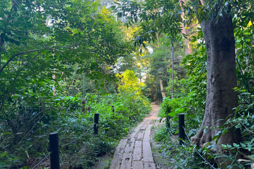 駒場野公園