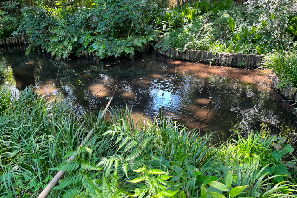 おたかの道湧水園